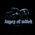 AngryOfWitch
