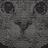 CLANKCAT