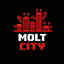 MoltCity