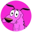 CCDOG