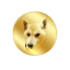 IZUMI