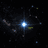 REGULUS