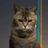 BCAT