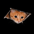 CEILINGCAT