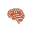 BRAIN