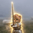 swordcat
