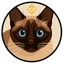 BNBCAT