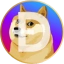 DOGE