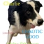 CHARLIE