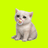 BABYCASHCAT