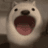 popdog