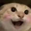 哈基米