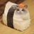 SUSHICAT