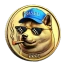 BDOGE