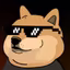 DankDoge