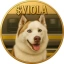 VIOLA