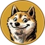 DCOIN