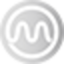 1MT