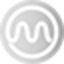 1MT
