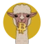 ALPACA