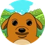 DWOG