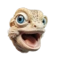 DWB