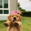 BUDDY