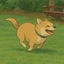 ZOOMIE