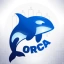 ORCAI