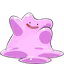 Ditto