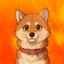 Wako