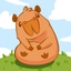 CAPY