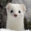 ERMINE
