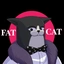 $FATCAT