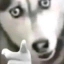U