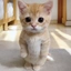 RUECAT