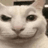 CATTY