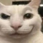 CATTY