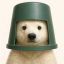 BUCKET