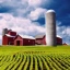 Farm