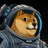 DOGE-1