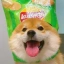 CHIPS