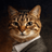 GILLIONS