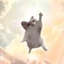 rise