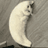 MOONCAT