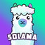 SOLAMA