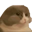 NUM