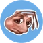 SADANT