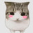 棱角猫