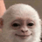 ALBERT